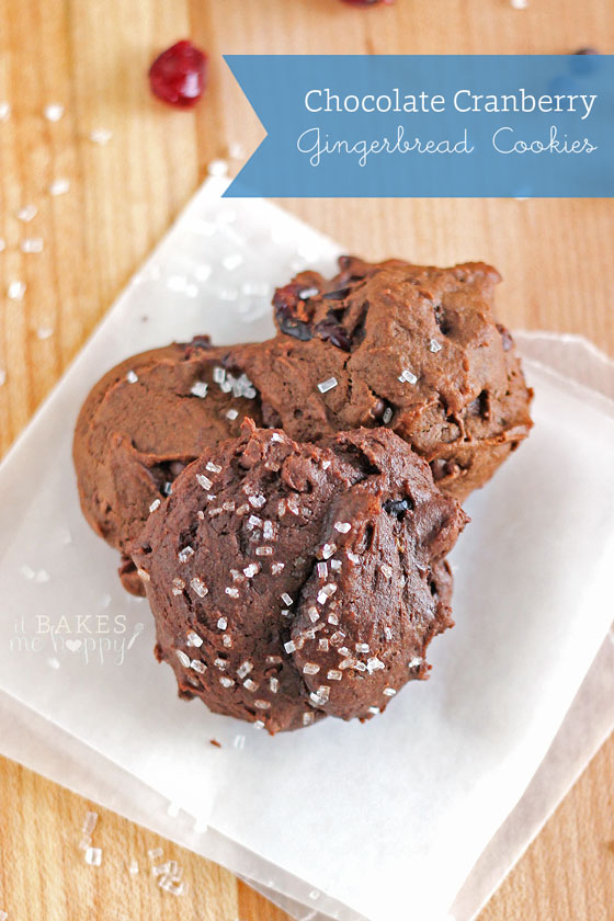 Chocolate Cranberry Gingerbread Cookies